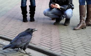 Фото Суббота в Челябинской области будет теплой, воскресенье - прохладным