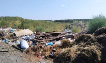 Фото АнтиСМОГ рассказал подробности экологической катастрофы в Нагайбакском районе