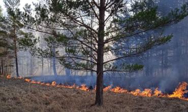 Фото Участники сплава стали виновниками пожара в нацпарке «Зигальга»