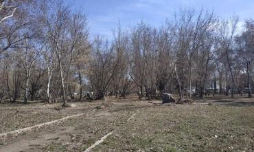 Фото В Челябинске ищут исполнителя второго контракта по благоустройству Сада камней