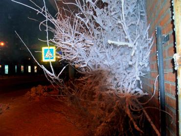 Фото В Челябинской области повышена опасность возникновения ЧС