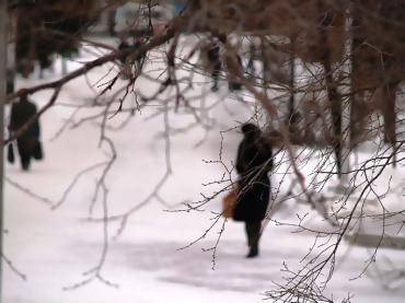 Фото В Челябинской области до конца недели простоят  морозы