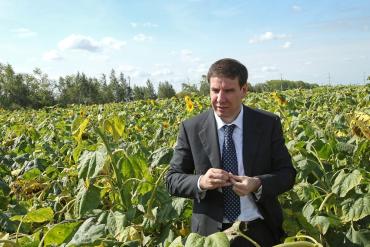 Фото Юревич: Мы будем переориентировать сельских товаропроизводителей на возделывание кукурузы