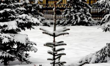 Фото За сутки больше всего снега выпало на крайнем западе и севере Челябинской области
