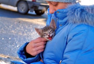 Фото В Челябинскую область пришла зима
