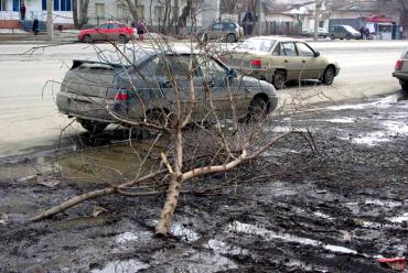 Фото Не надо мусорить: в Челябинске подсчитали, в какую сумму обходится неаккуратность