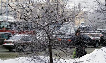 Фото В Челябинской области ночью и днем 25 декабря погода ухудшится