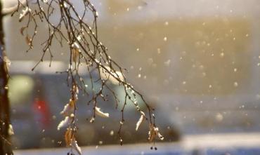 Фото В Челябинской области 25 января – местами небольшой снег