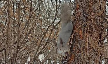 Фото В Челябинской области 29 ноября - переохлажденный дождь, переходящий в снег