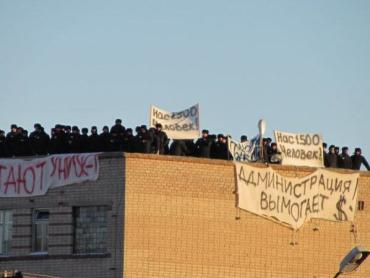 Фото Первые уголовные дела о вымогательстве возбуждены по заявлениям осужденных Копейской  ИК-6