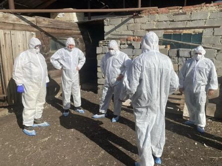 Фото Челябинск готов оперативно реагировать на птичий грипп