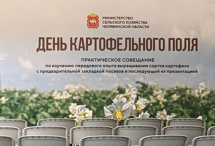 Фото День картофельного поля в Челябинской области: взгляд на инновации и будущий урожай