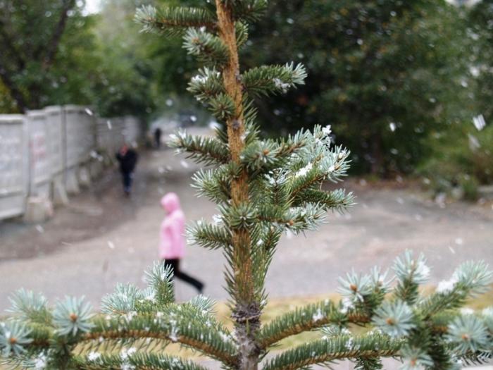 Фото Среда обитания