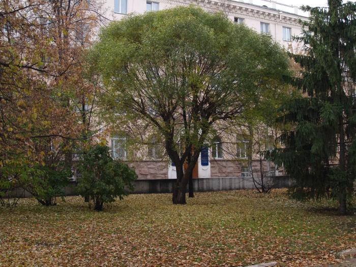 Фото Челябинск и челябинцы. Осень-2006
