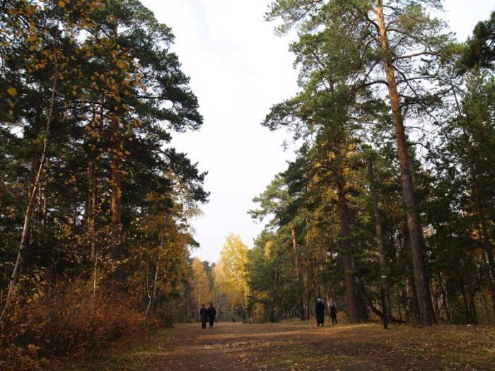 Фото Челябинск и челябинцы. Осень-2006