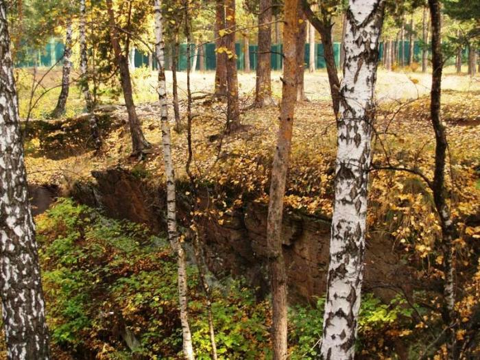 Фото Челябинск и челябинцы. Осень-2006