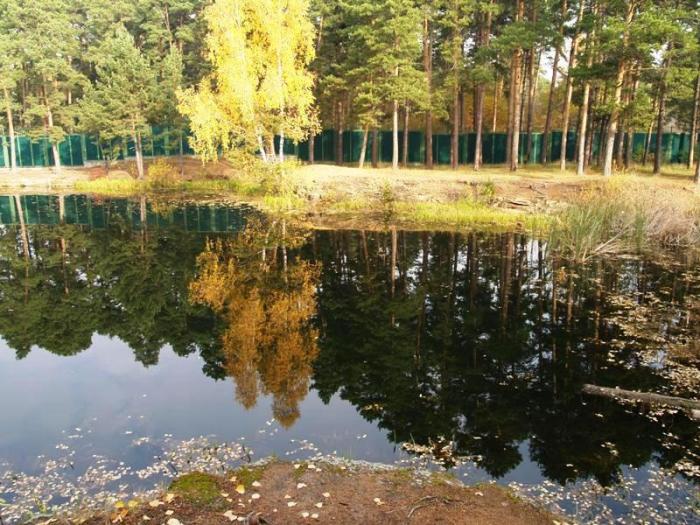 Фото Челябинск и челябинцы. Осень-2006