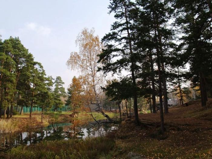 Фото Челябинск и челябинцы. Осень-2006