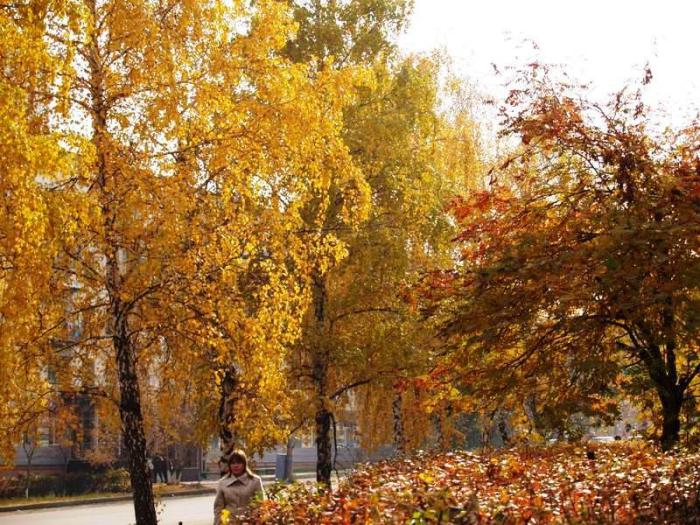 Фото Челябинск и челябинцы. Осень-2006