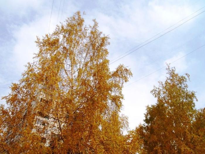 Фото Челябинск и челябинцы. Осень-2006