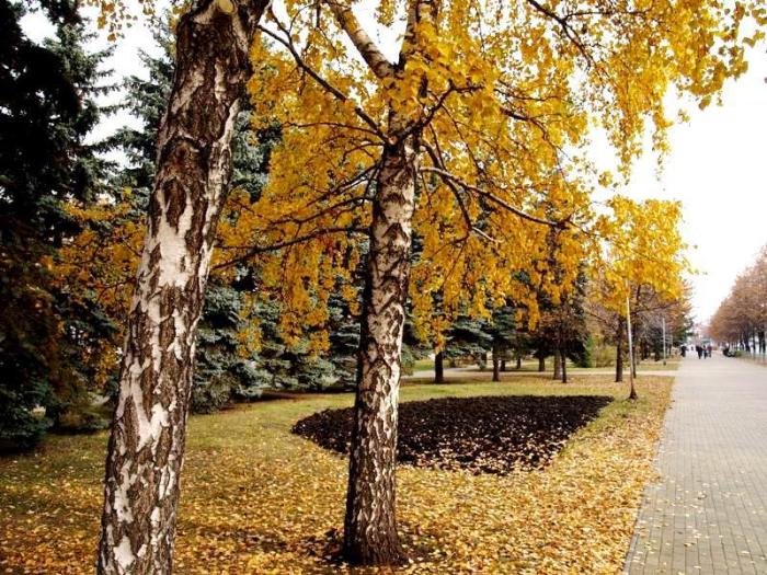 Фото Челябинск и челябинцы. Осень-2006