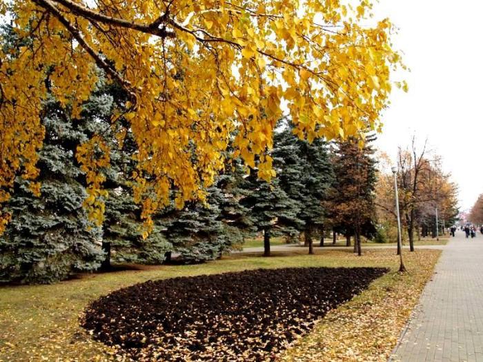 Фото Челябинск и челябинцы. Осень-2006