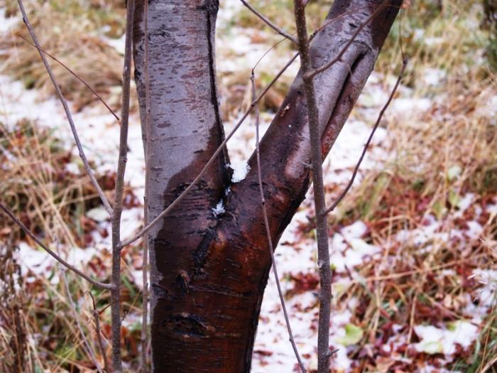 Фото Челябинск и челябинцы. Осень-2006