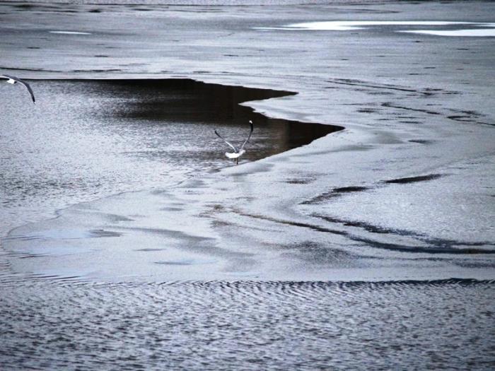 Фото Челябинск и челябинцы. Осень-2006
