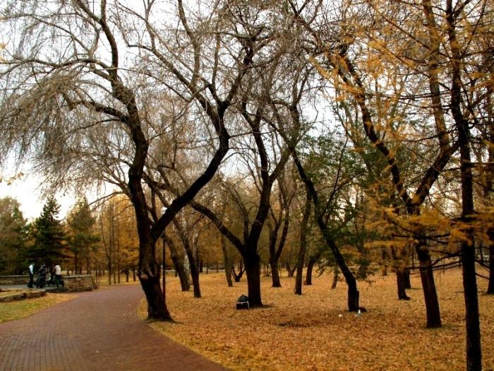 Фото Челябинск и челябинцы. Осень-2006
