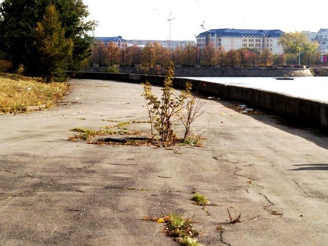 Фото Среда обитания