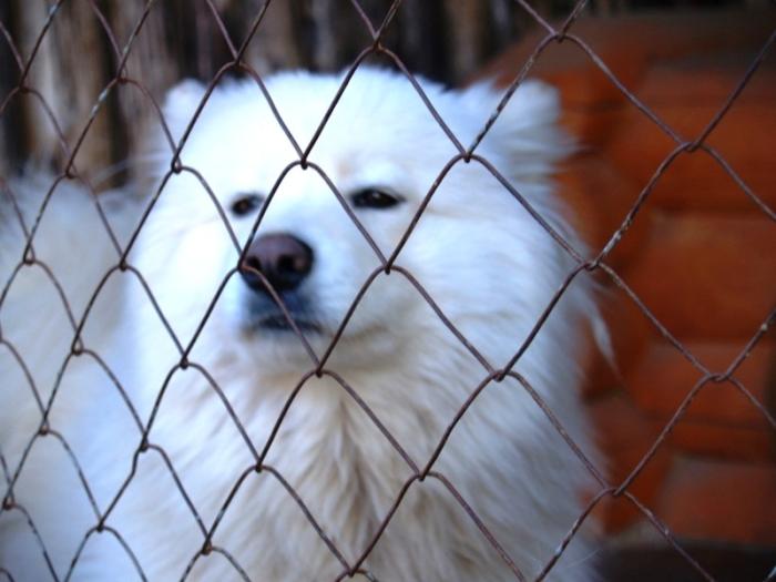 Фото Национальный экологический парк Зюраткуль