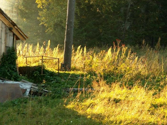 Фото Национальный экологический парк Зюраткуль