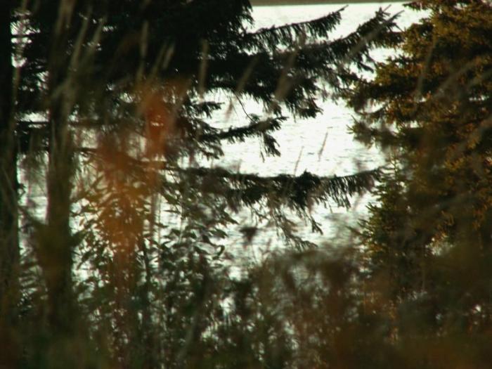 Фото Национальный экологический парк Зюраткуль