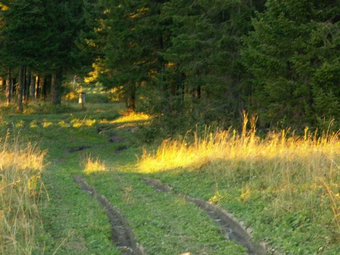 Фото Национальный экологический парк Зюраткуль