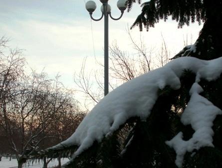 Фото Челябинск и челябинцы. Ноябрь (3)