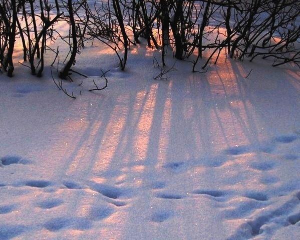 Фото Челябинск и челябинцы. Ноябрь (3)