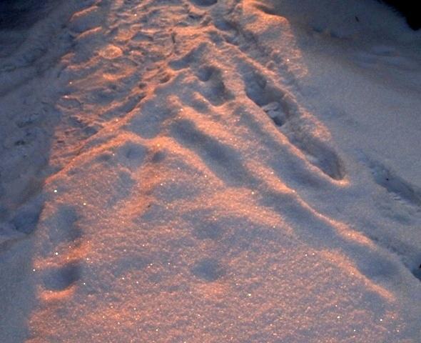 Фото Челябинск и челябинцы. Ноябрь (3)
