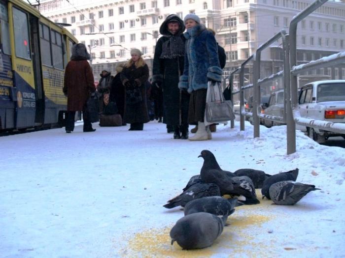 Фото Челябинск и челябинцы. Ноябрь (3)