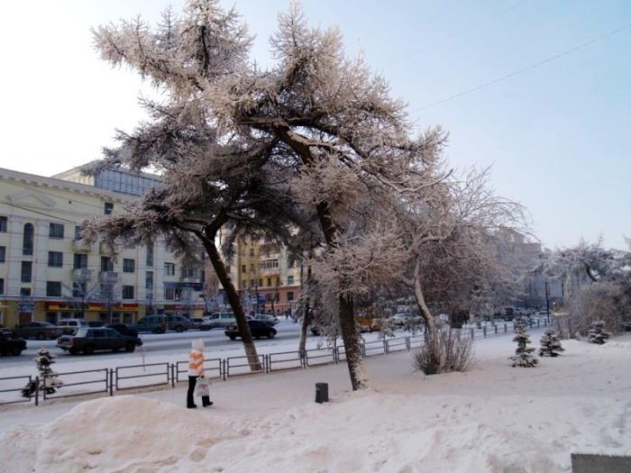 Фото Челябинск и челябинцы. Ноябрь (3)