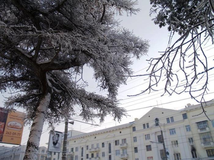 Фото Челябинск и челябинцы. Ноябрь (3)