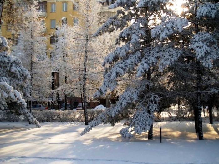 Фото Челябинск и челябинцы. Ноябрь (3)
