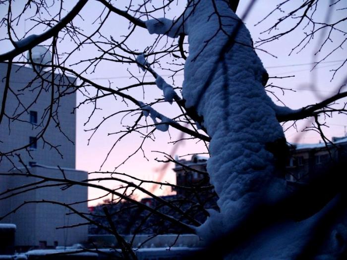 Фото Челябинск и челябинцы. Декабрь-2006