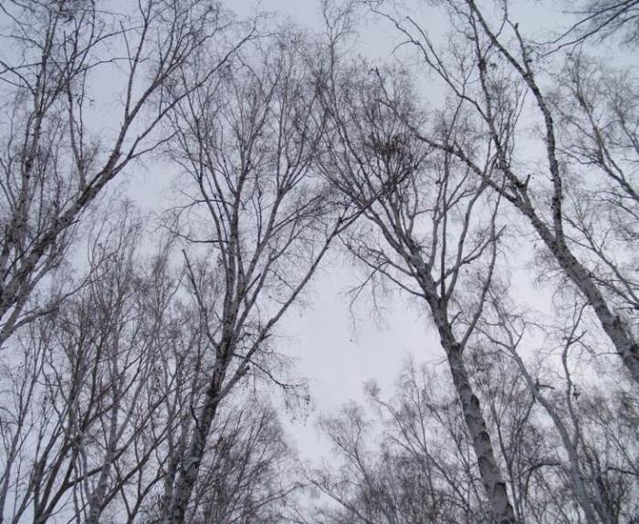 Фото Челябинск и челябинцы. Декабрь-2006