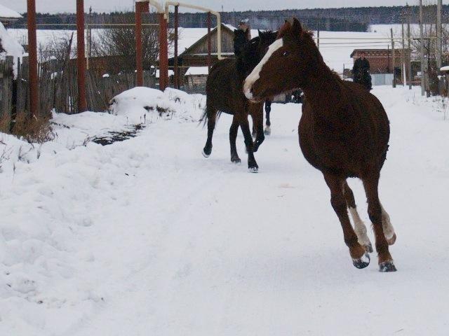 Фото Челябинск и челябинцы. Декабрь-2006