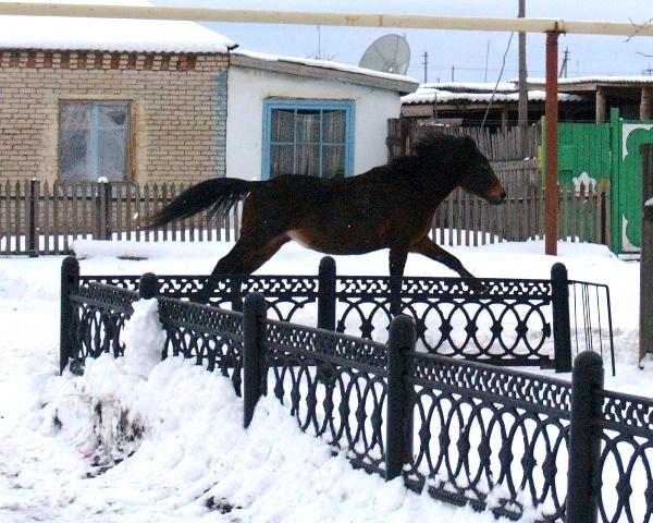 Фото Челябинск и челябинцы. Декабрь-2006