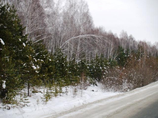 Фото Челябинск и челябинцы. Декабрь-2006