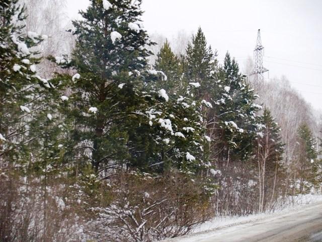 Фото Челябинск и челябинцы. Декабрь-2006