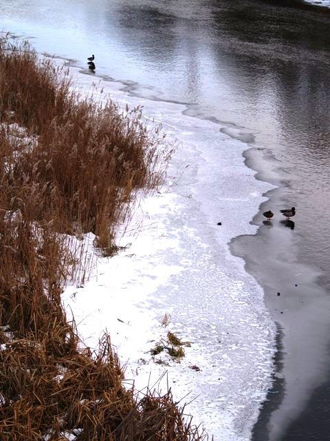 Фото Челябинск и челябинцы. Декабрь-2006(2)