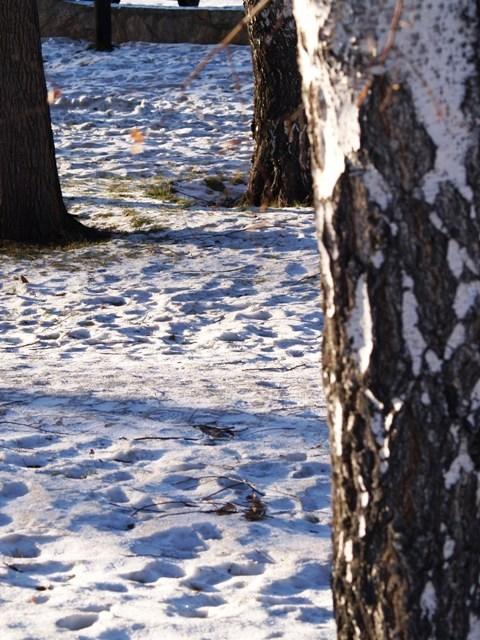 Фото Челябинск и челябинцы. Декабрь-2006(2)