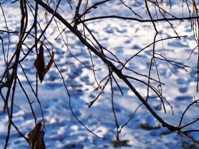 Фото Челябинск и челябинцы. Декабрь-2006(2)